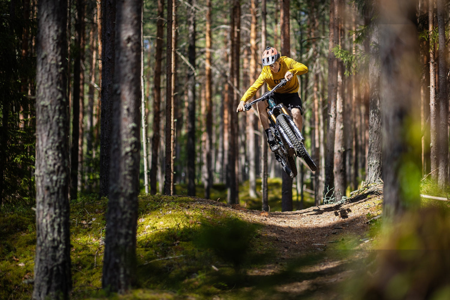 Polygon Bikes